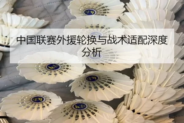 中国联赛外援轮换与战术适配深度分析